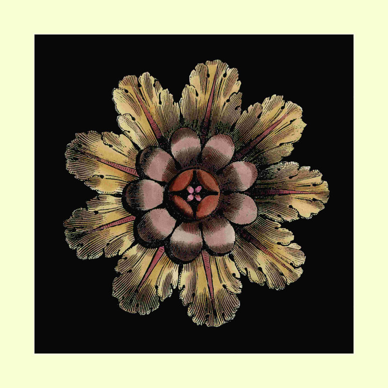 Petite rosette classique II, H 36 po x l 36 po