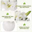 Ensemble de 2 fleurs de lis artificielles blanches - lis en soie réaliste, fleur décorative, arrangement floral, décoration de maison et de mariage, centre de table floral