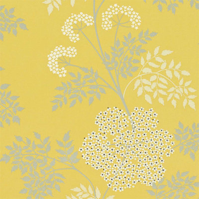 Cowparsley Wallpaper