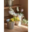 Jardinière en seau galvanisé-656349031