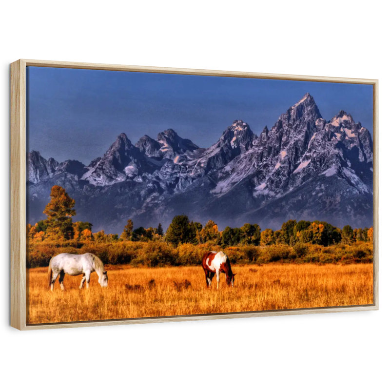 Chevaux paissant à Grand Teton, Cadre flottant en bois naturel, 43 po x 29 po