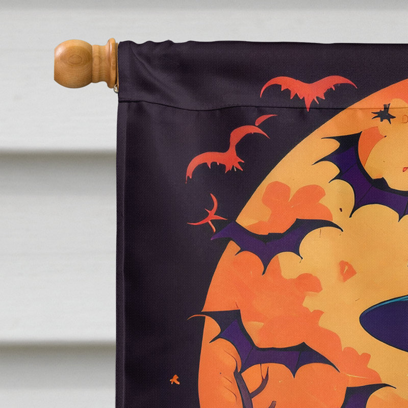 Janadia Double Sided Polyester Halloween Garden Flag, 40" x 28"