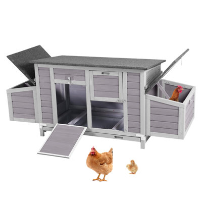  Grand poulailler en cage