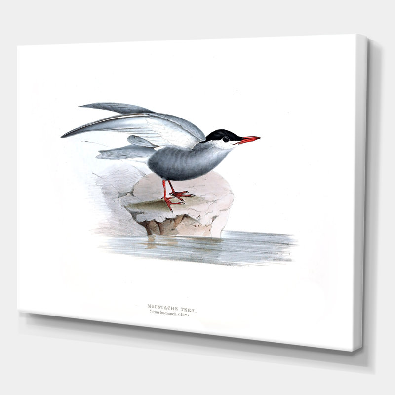 Oiseau rétro de l'Europe I - peinture sur toile, H 24 po x l 32 po x P 1 po, Toile tendue