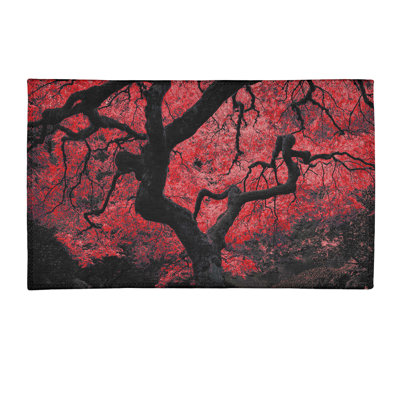 Chenille Indoor Rug