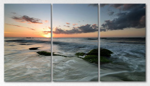 3 Piece Wrapped Canvas Print