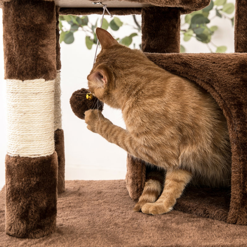 55" Bineta Cat Condo, Brown