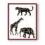 Reproduction encadrée d'animaux en safari ornementaux III-472617838-472617833