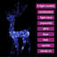 LED Indoor / Outdoor String Lights-1727342816