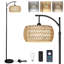 Lampe sur pied traditionnelle 72,8 po Wardie-418304982