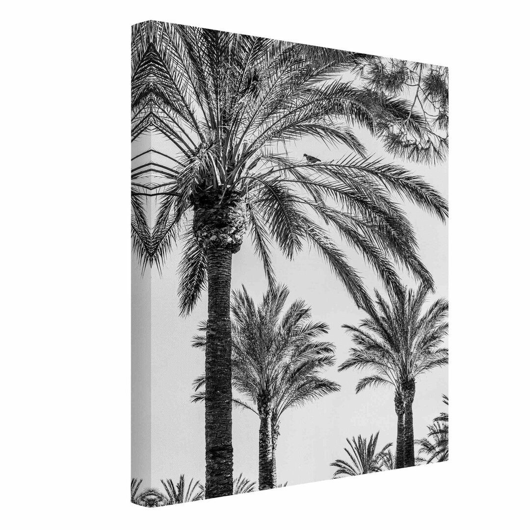 Leinwandbild Palm Trees in the Sunset Black and White von Uwe Merkel