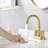2-handle Bathroom Faucet