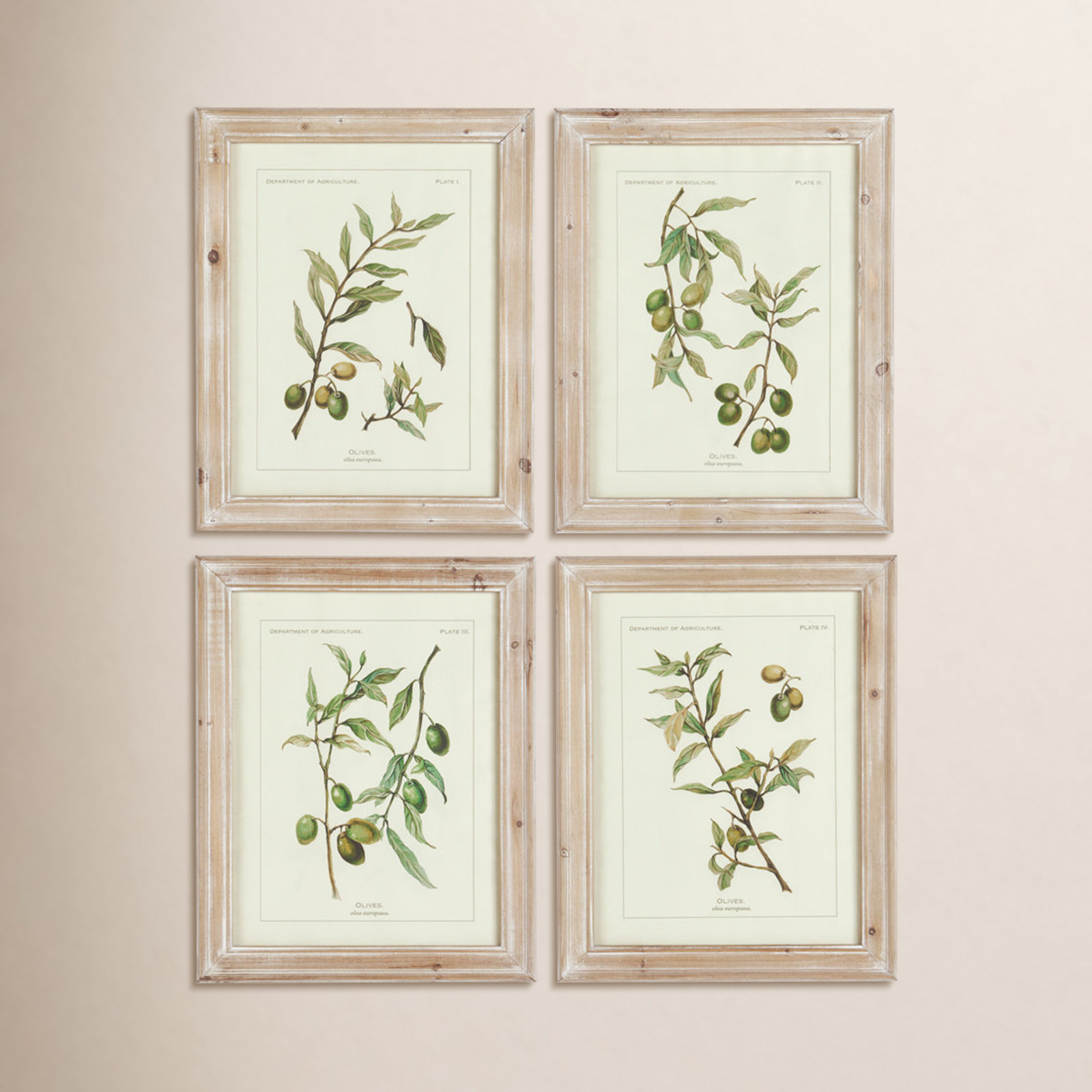 Evy "Olive Leaf Botanical" 4-Piece Set