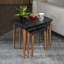 Nyda Nesting Tables-1209017110