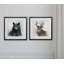 " Rain Soft Bear " 2 - Pieces-27609956