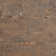 Mantis 11.81 in. x 23.62 in. Matte Porcelain Concrete Look Floor and Wall Tile (13.55 Sq. Ft./Case)
