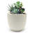 Acushnet 13.7" Dia White Planter, Outdoor Planter with Drainage Hole-1398424973-1398425010