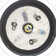 Ceaira 52'' Ceiling Fan with LED Lights