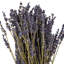 18" Dried Light Purple Dried Lavender 3.5 oz. Bunch. This is a natural product, dimensions and color may vary plant to plant.