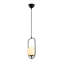 Luminaire suspendu simple à hauteur réglable-1153544445