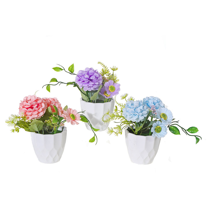 Arrangement floral d'œillets en pot