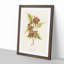 Boxelder Maple Leaf - Framed Print-55679068-55679069