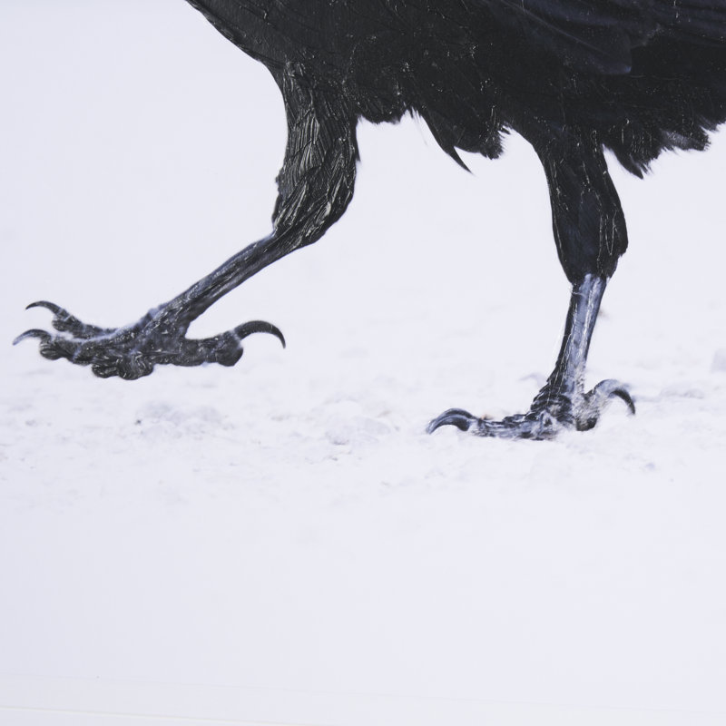 Raven Beauty by Gary Blatter a Hand Embelished Textured Framed Art Print Matted under Glass