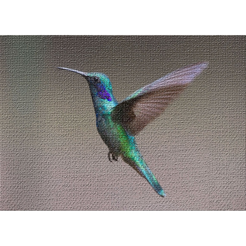 Tapis brune hummingbird, Rectangle 2 pi x 3 pi