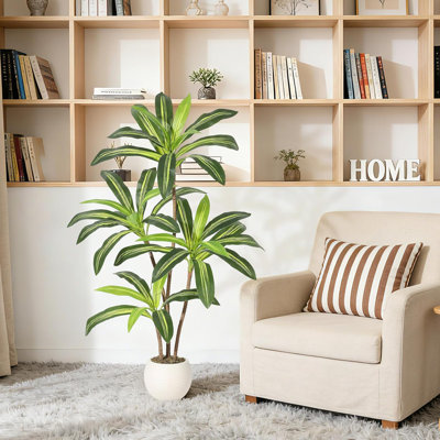 9.84cm Plant