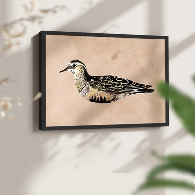 «Feathered Friend III», reproduction encadrée