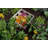 CLASSIC White Vinyl 4x4 Composting Garden