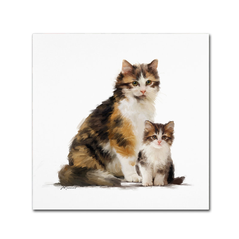 Armand 'Tortoiseshell' Print on Canvas, 14" H x 14" W x 2" D