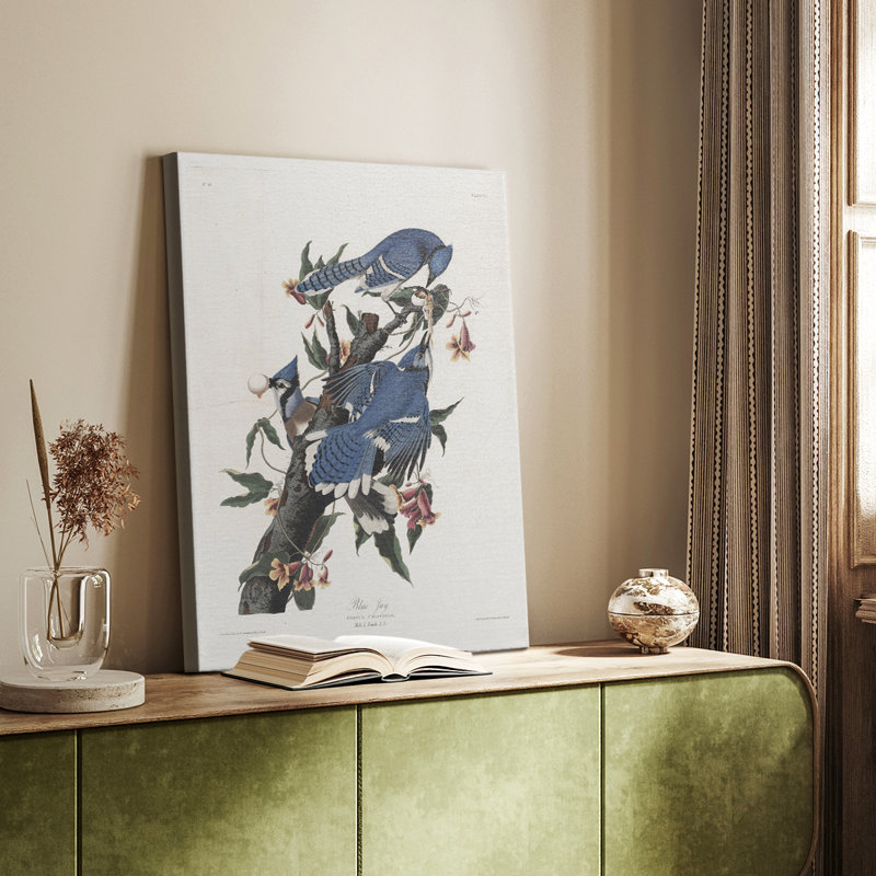 Imprimé animal rétro XXXIV - galerie Cavas, H 18 po x l 12 po