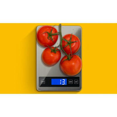 Eternal Digital Scale