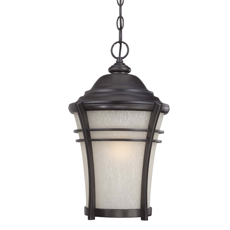 Darielle Outdoor Hanging Lantern, Black Coral