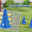30cm H Plastic Dog Agility-115359578