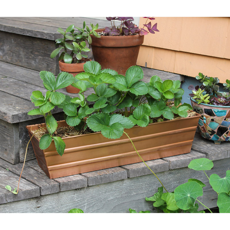 Metal Planter Box, Copper Plated