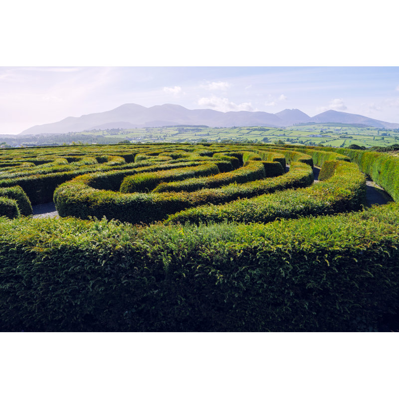 Hedge Maze Against Blue Sky by M-image - Wrapped Canvas Print, 30cm H x 46cm W x 3.8cm D