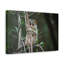 No Frame Print on Canvas-100038340