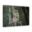Wall Art on Canvas-100038340