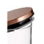 Saltash Glass Jar-25964866-29209881