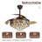 Jernice 42'' Ceiling Fan with LED Lights