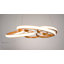 Elisheba 1 - Light Satin Gold LED Pendant