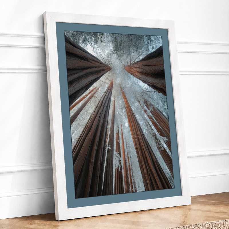 Towering Forest Canopy Scandinavian - Print, A4 - 29.7 x 21.0 cm, White