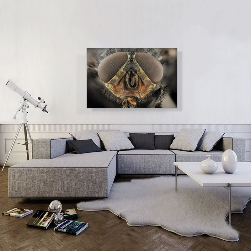 Macro Fly Home Decor - reproduction de photo sur toile tendue, H 26 po x l 40 po x 1,5 po