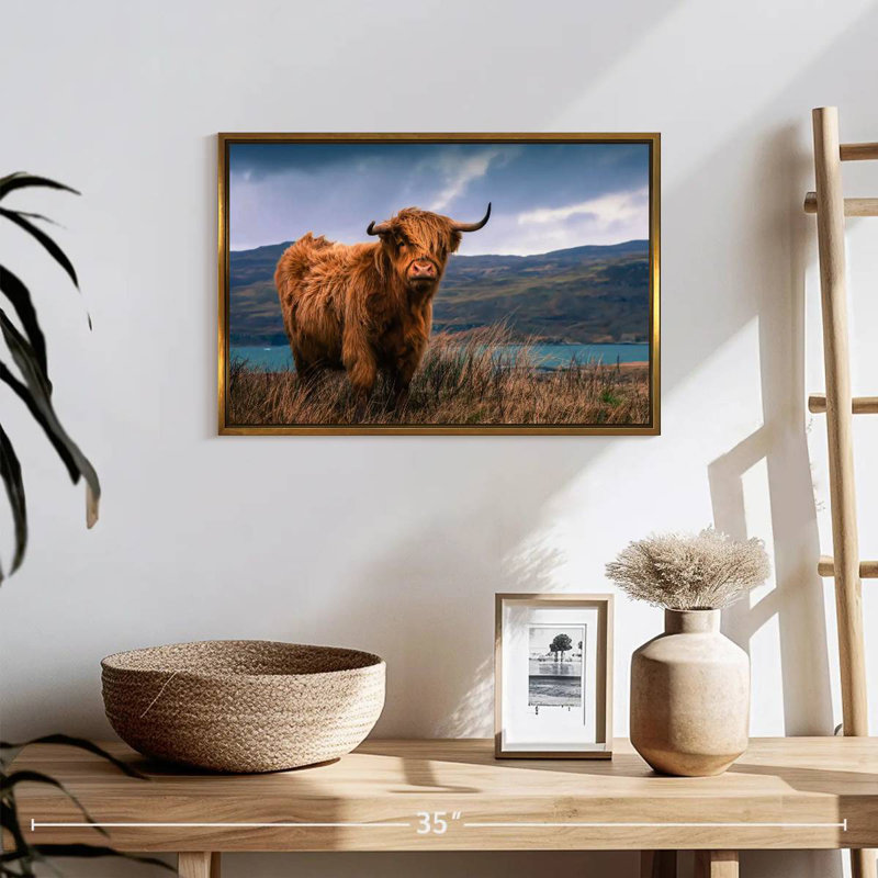 Grande vache Highland, Cadre flottant doré, 19 po x 13 po