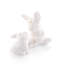 Salt & Pepper Shaker