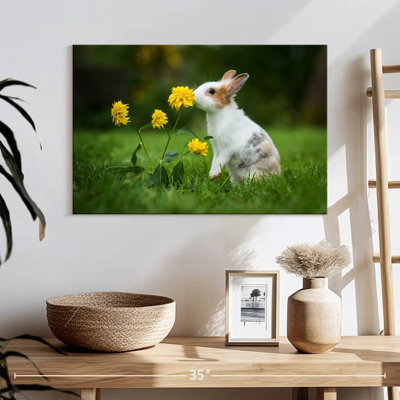 Brampt Bunny And Flowers