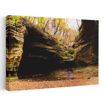 Art mural de la nature, paysage de fougère contemporaine, parc naturel de Mathiesse State Park, comté de Lasalle, Illinois, États-Unis