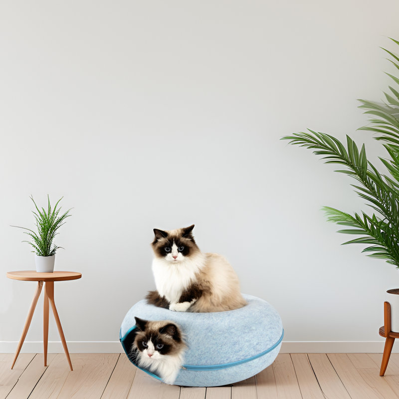 Large Cat Tunnel Bed For Indoor Cats, Blue